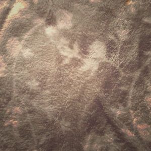 Meet your Posher, Jacqueline